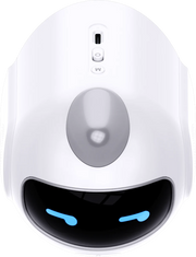 Top view of the Three Sheep AI talking companion