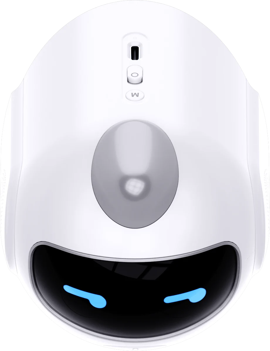 Top view of the Three Sheep AI talking companion